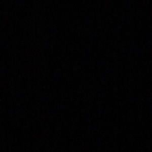 Meet your Posher, Terry